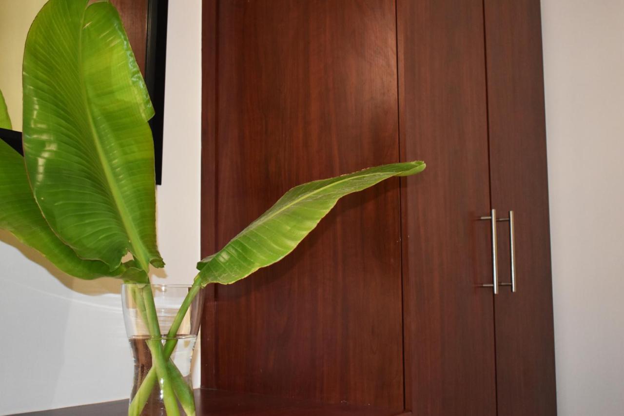 The Botanical House Apartment Somerset West Ngoại thất bức ảnh