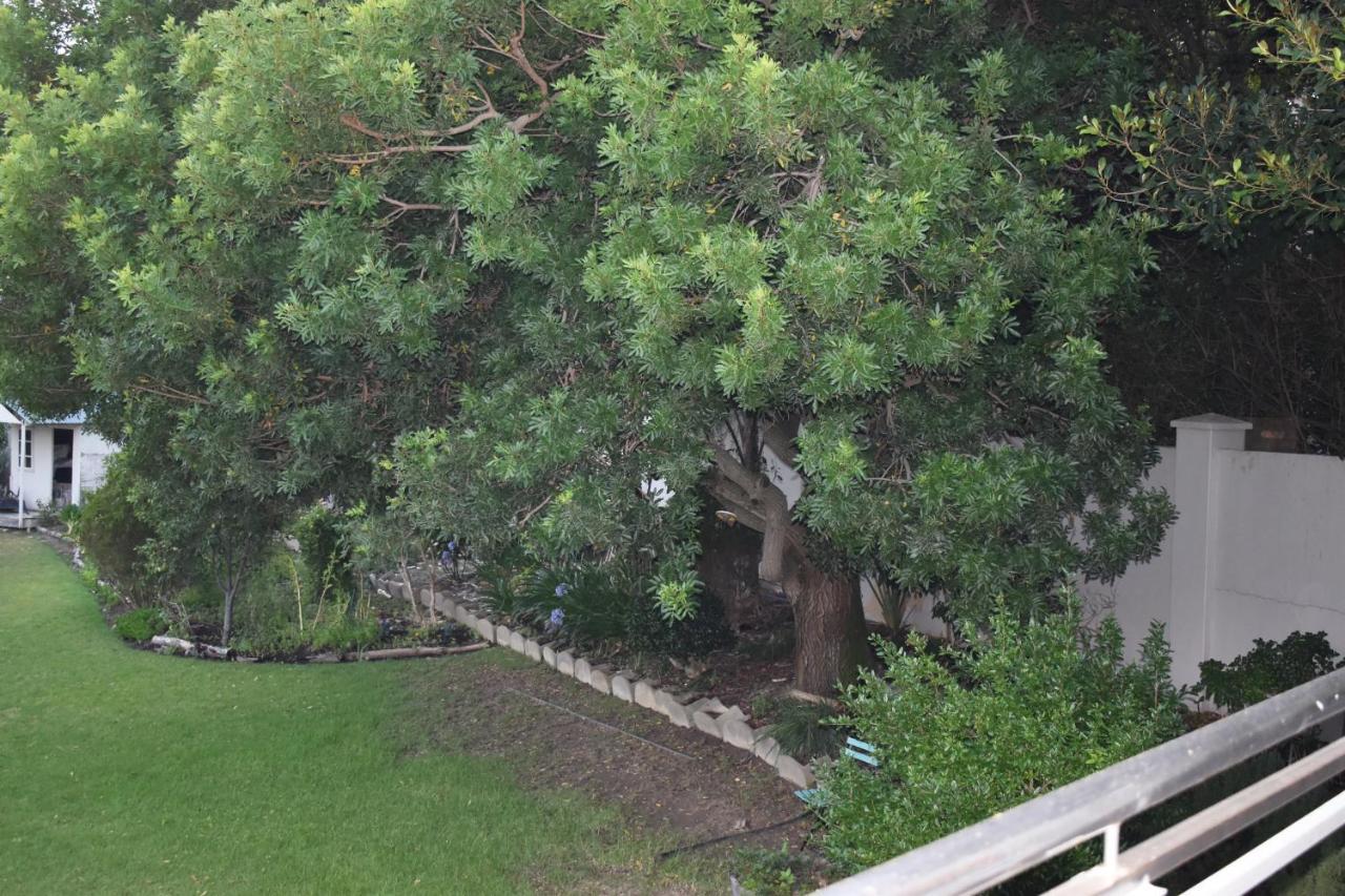 The Botanical House Apartment Somerset West Ngoại thất bức ảnh