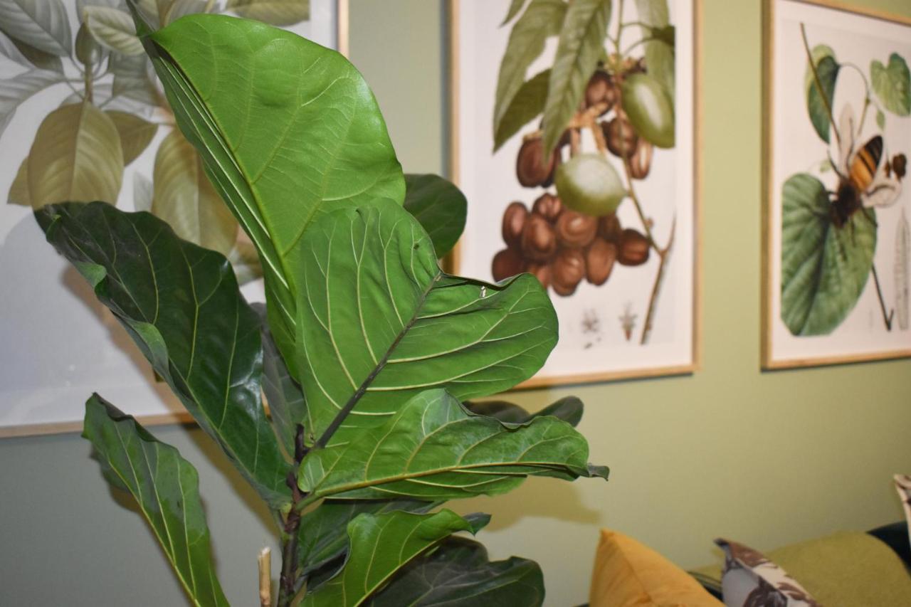 The Botanical House Apartment Somerset West Ngoại thất bức ảnh